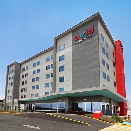 Avid Hotels - Tijuana - Otay By Ihg Eksteriør billede